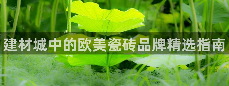 杏鑫平台注册地址在哪里