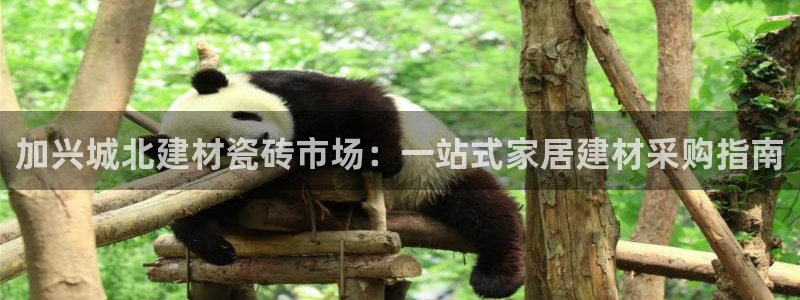 杏鑫平台怎么样黑钱吗是真的吗