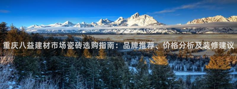 杏鑫注册登录地址