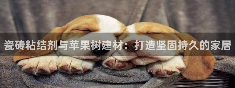 杏鑫官网注册账号密码是多少