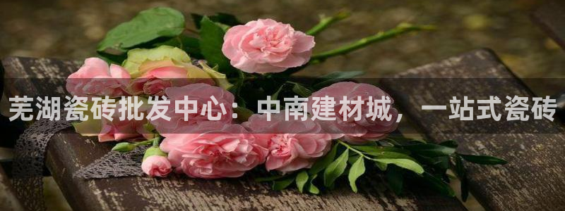 杏鑫平台注册网址是多少