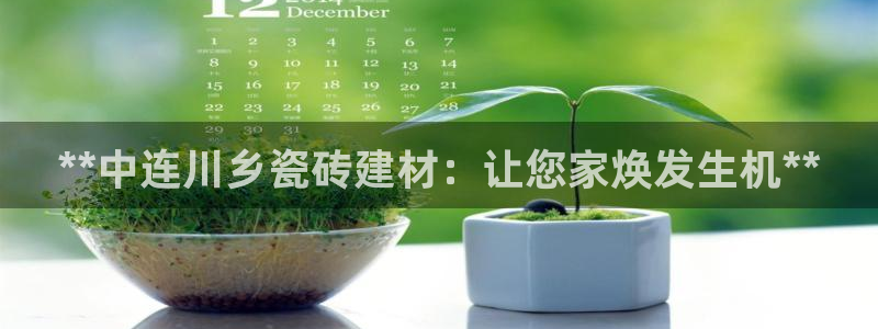 杏鑫娱乐开发团队
