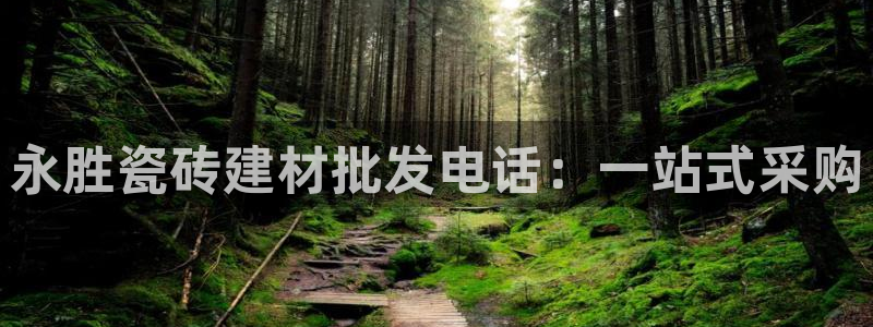 杏鑫官网