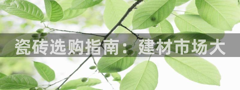 杏鑫注册登录平台是什么