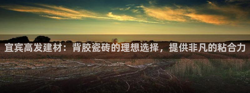 杏鑫官方平台怎么样啊可靠吗