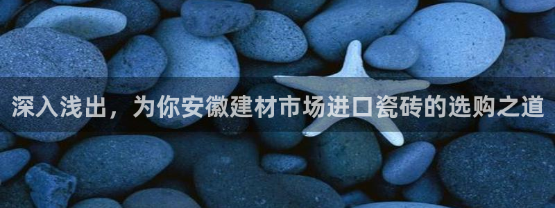杏鑫官网最新信息新闻