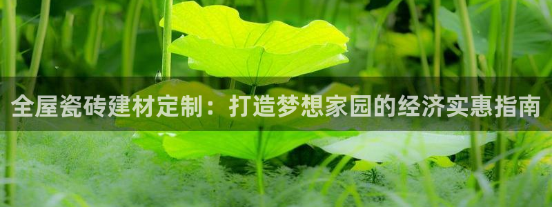 杏鑫平台注册地址在哪里