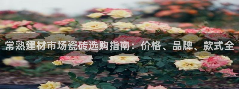 杏鑫娱乐平台登录注册网站