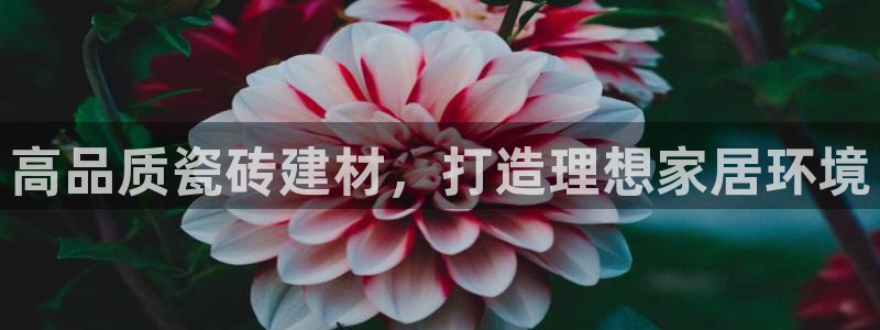 杏鑫平台直属哪个公司