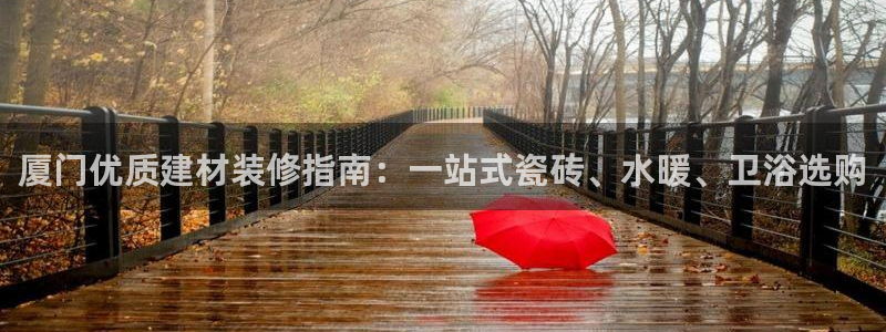 杏鑫代理注册资金多少