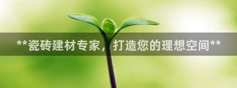 杏鑫平台下载安装