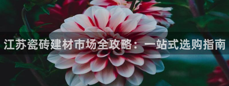 杏鑫注册登录平台