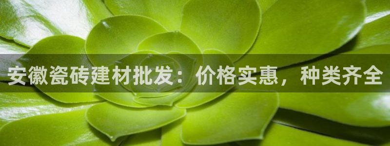 杏鑫平台是黑平台吗是真的吗