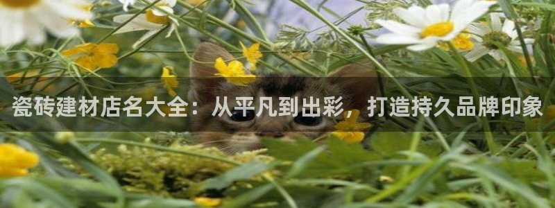 杏鑫平台怎么样黑钱吗