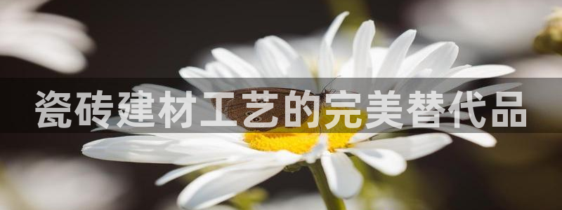 杏鑫平台招商怎么样可靠吗