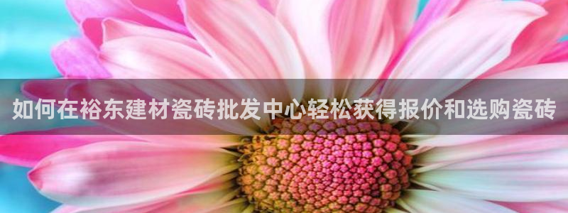 杏鑫平台代理注册多少钱一个