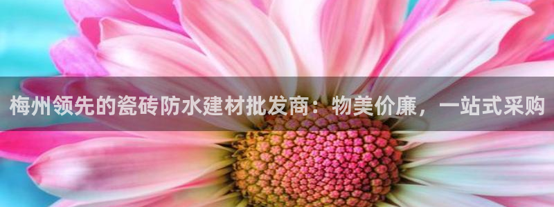杏鑫平台代理怎么样赚钱