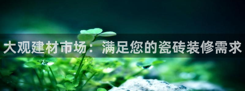 杏鑫平台直属