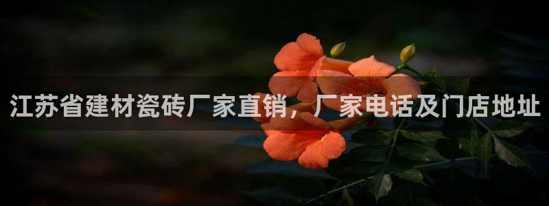杏鑫手机客户端怎么下载