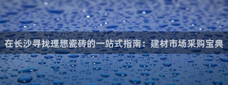 杏鑫代理注册资金多少