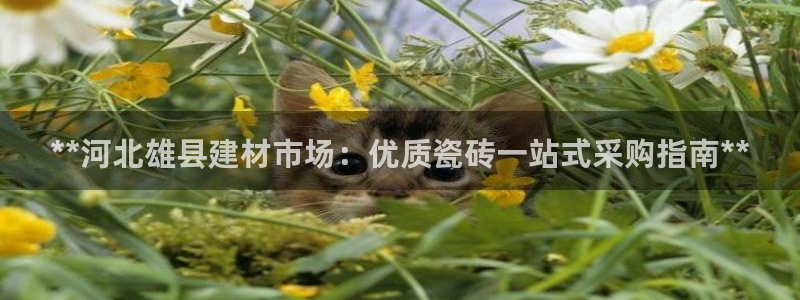 杏鑫注册登录平台