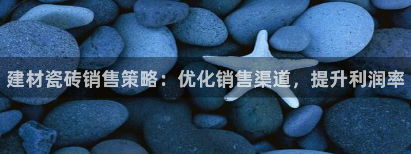 杏鑫3主管