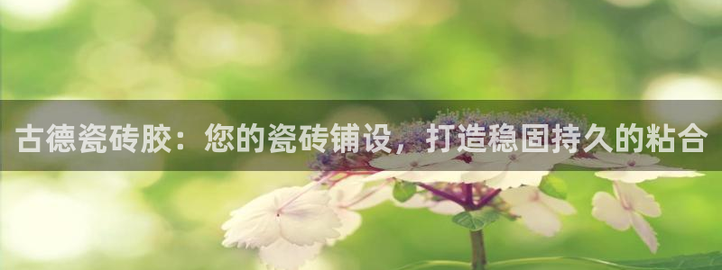 杏鑫娱乐多少年了