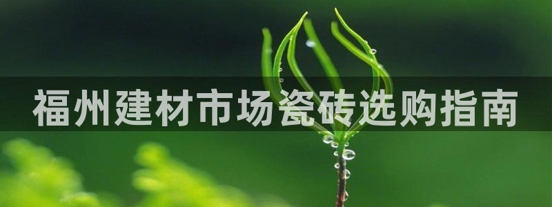 杏鑫招商总代