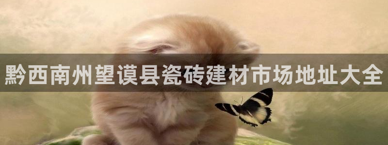 杏鑫官网注册账号怎么注册不了