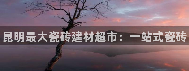 杏鑫官网注册账号