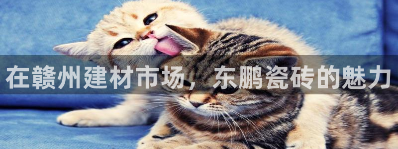 杏鑫平台注册网址