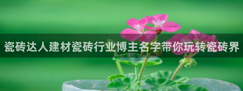 杏鑫平台下载安装