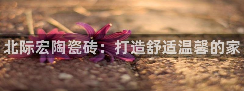 杏鑫注册平台官方网站入口