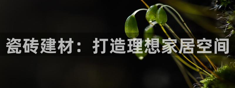 杏鑫娱乐平台登录