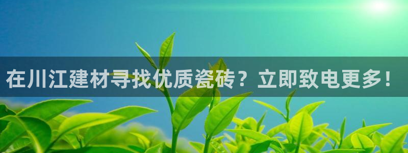 杏鑫官方平台怎么样