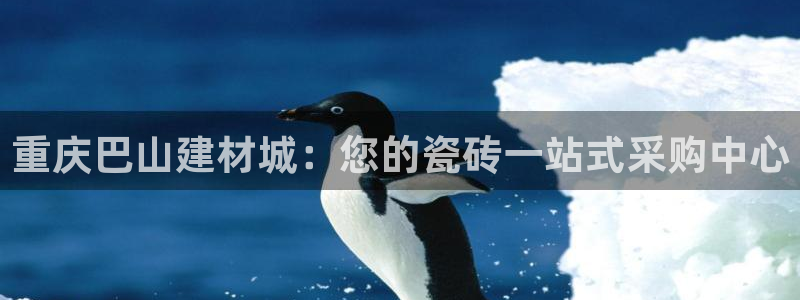 杏鑫平台代理注册要钱吗