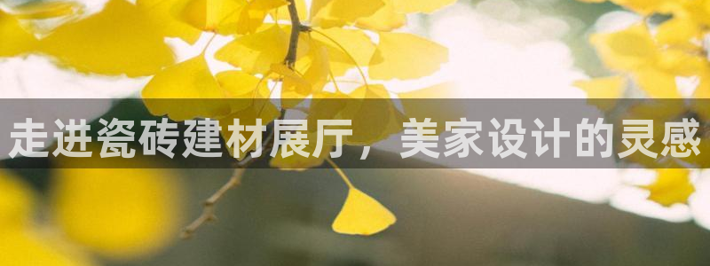 杏鑫平台注册网址是多少