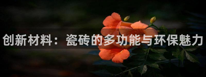 杏鑫平台注册网址查询