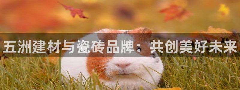 杏鑫平台代理注册多少钱