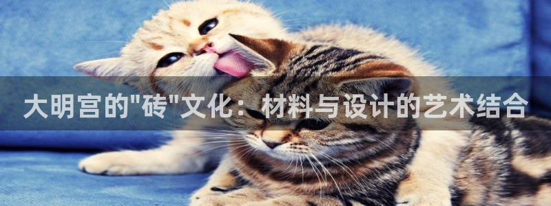 杏鑫平台测速怎么样