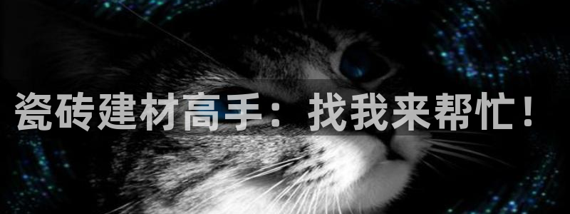 杏鑫手机客户端怎么下载