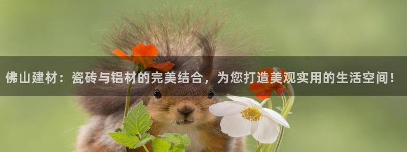 杏鑫平台代理注册登录不了怎么办呀苹果