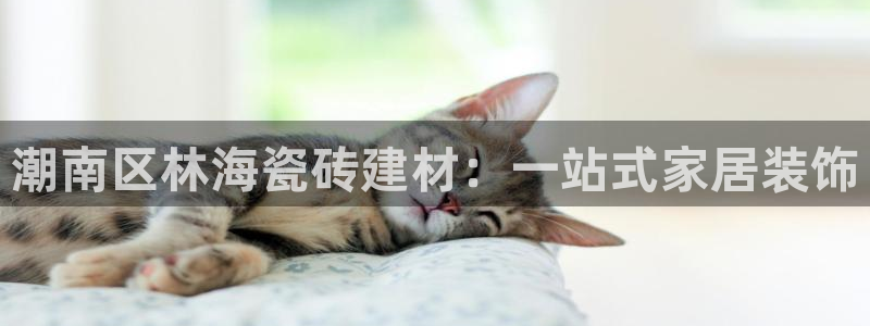 杏鑫官网注册账号密码是多少