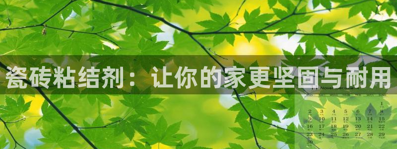 杏鑫平台是黑平台吗是真的吗
