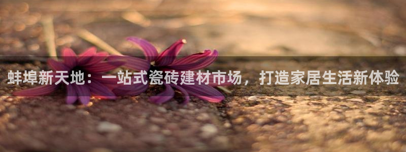 杏鑫平台招商