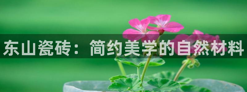 杏鑫娱乐-官方网站