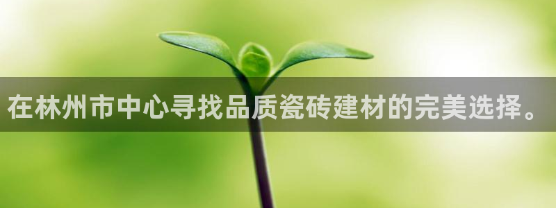 杏鑫注册登录地址