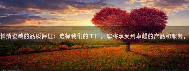 杏鑫平台代理注册多少钱一个