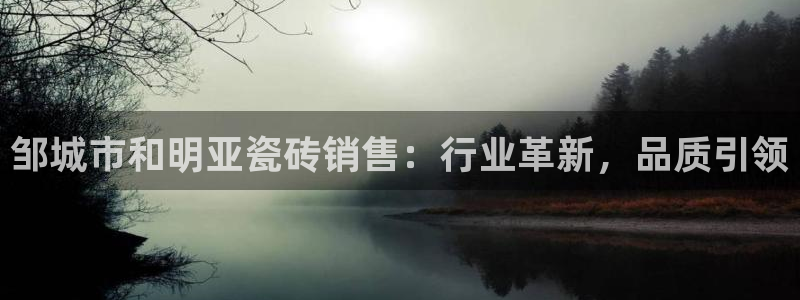 杏鑫官网注册账号是什么样的