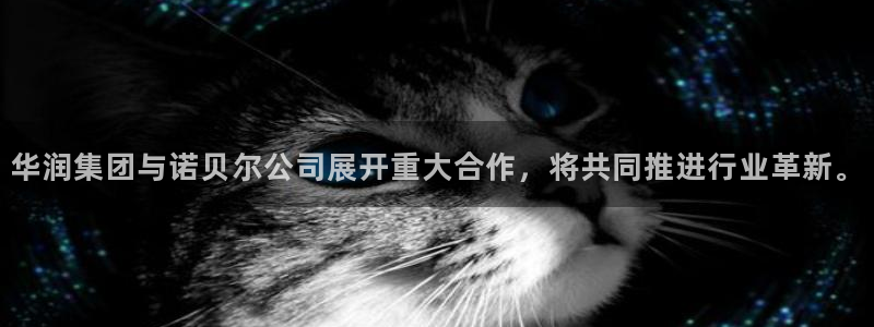 杏鑫娱乐开发团队